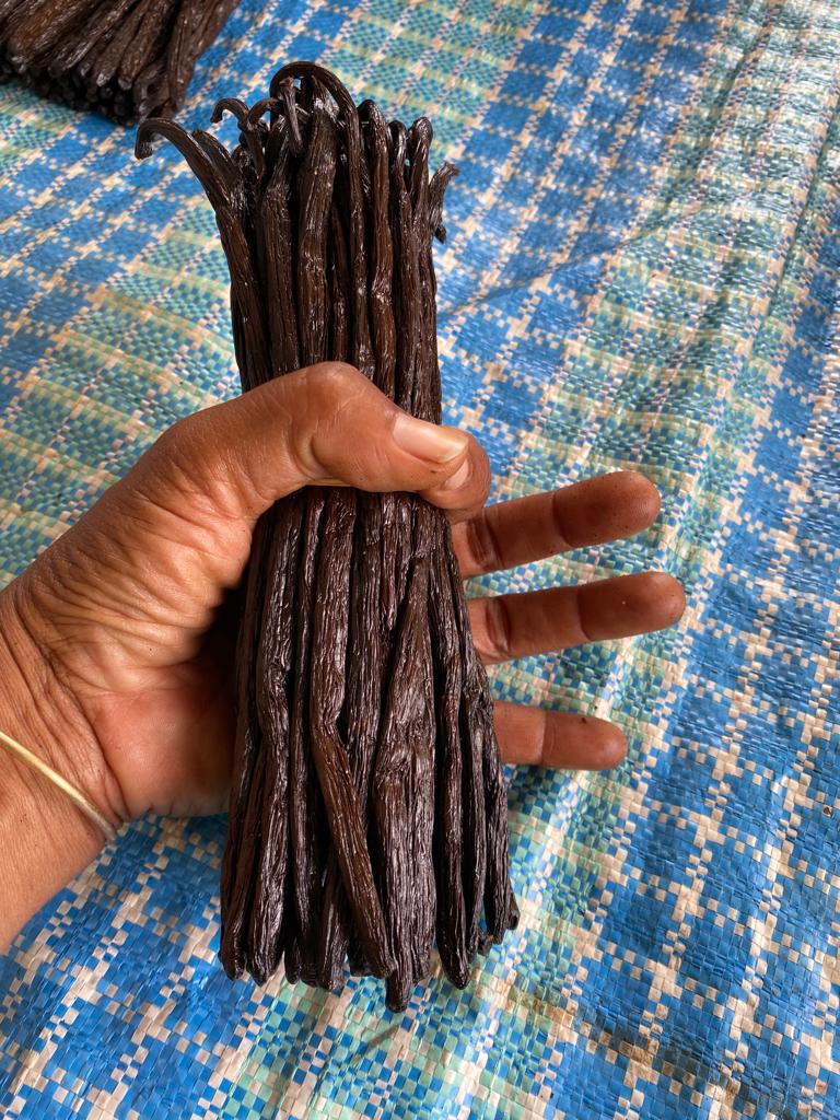 Vanilla pods from Madagascar