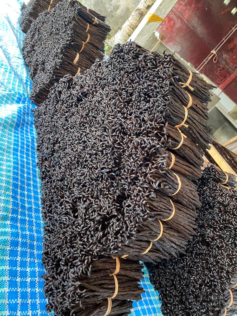 Vanilla pods from Maroantsetra, Madagascar